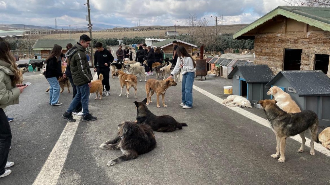 Patili Köy Hayvan Barınağını Ziyaret Ettik